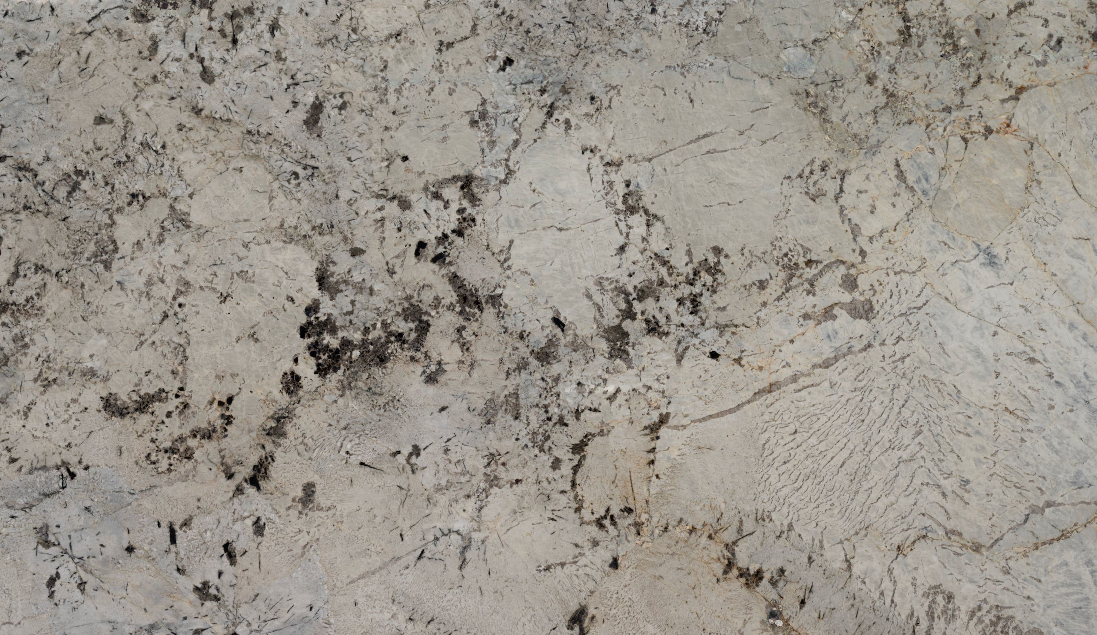 Artic White — Pacific Surfaces Exotic Collection