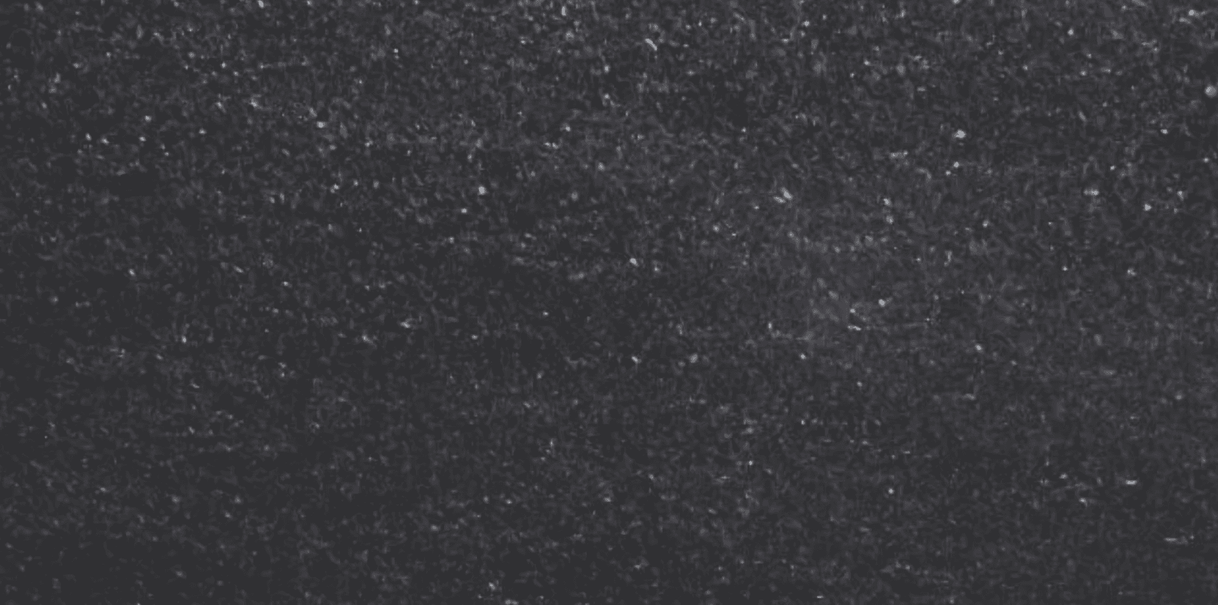 Blue Pearl — Pacific Surfaces Granite