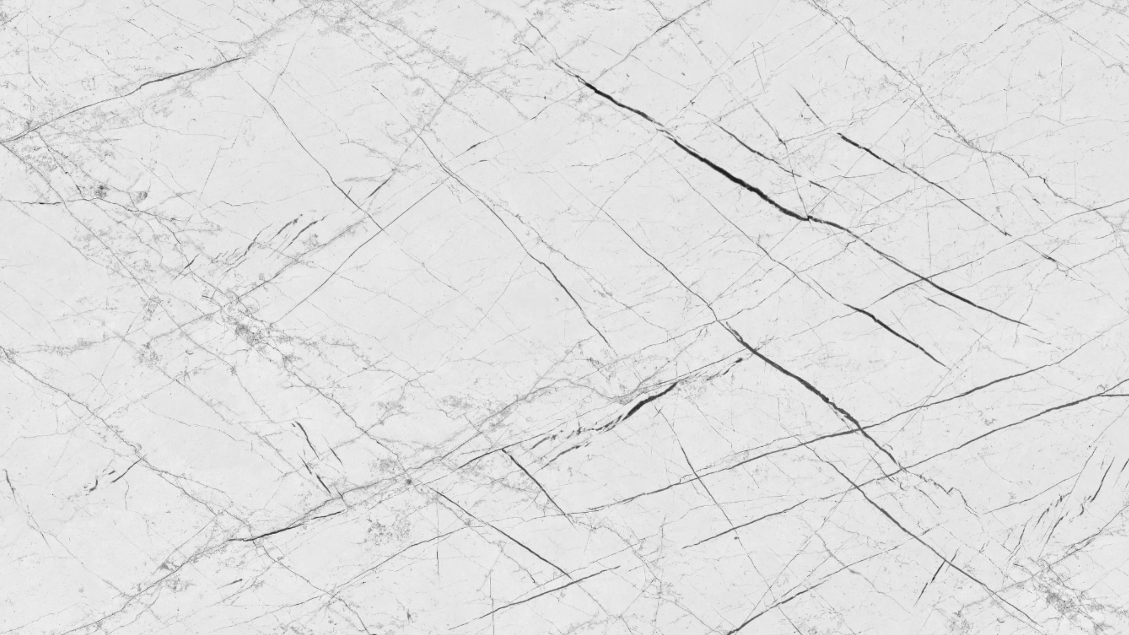 Linera (P08) — Pacific Surfaces Vision