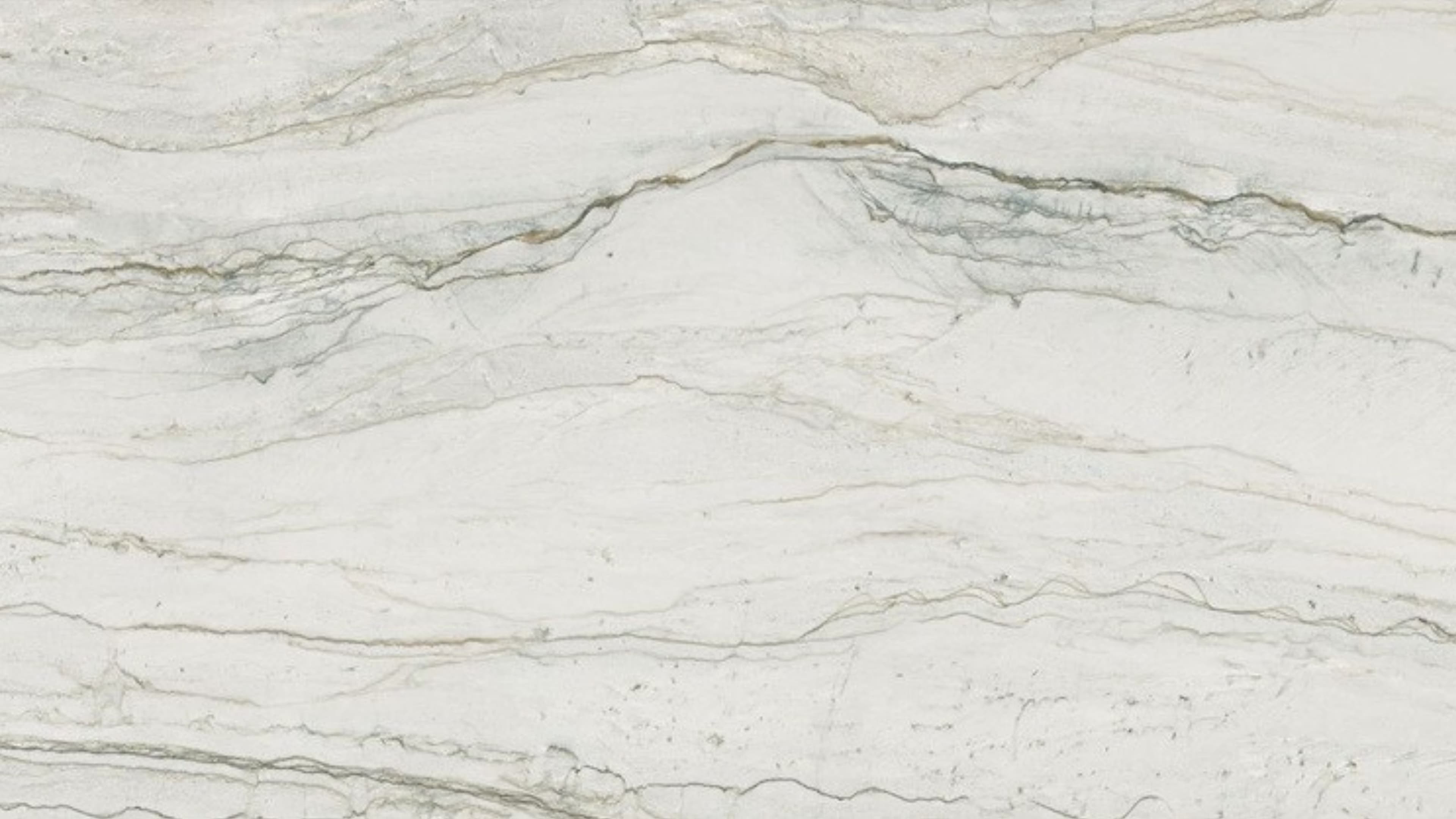 Elvion (P04) — Pacific Surfaces Vision