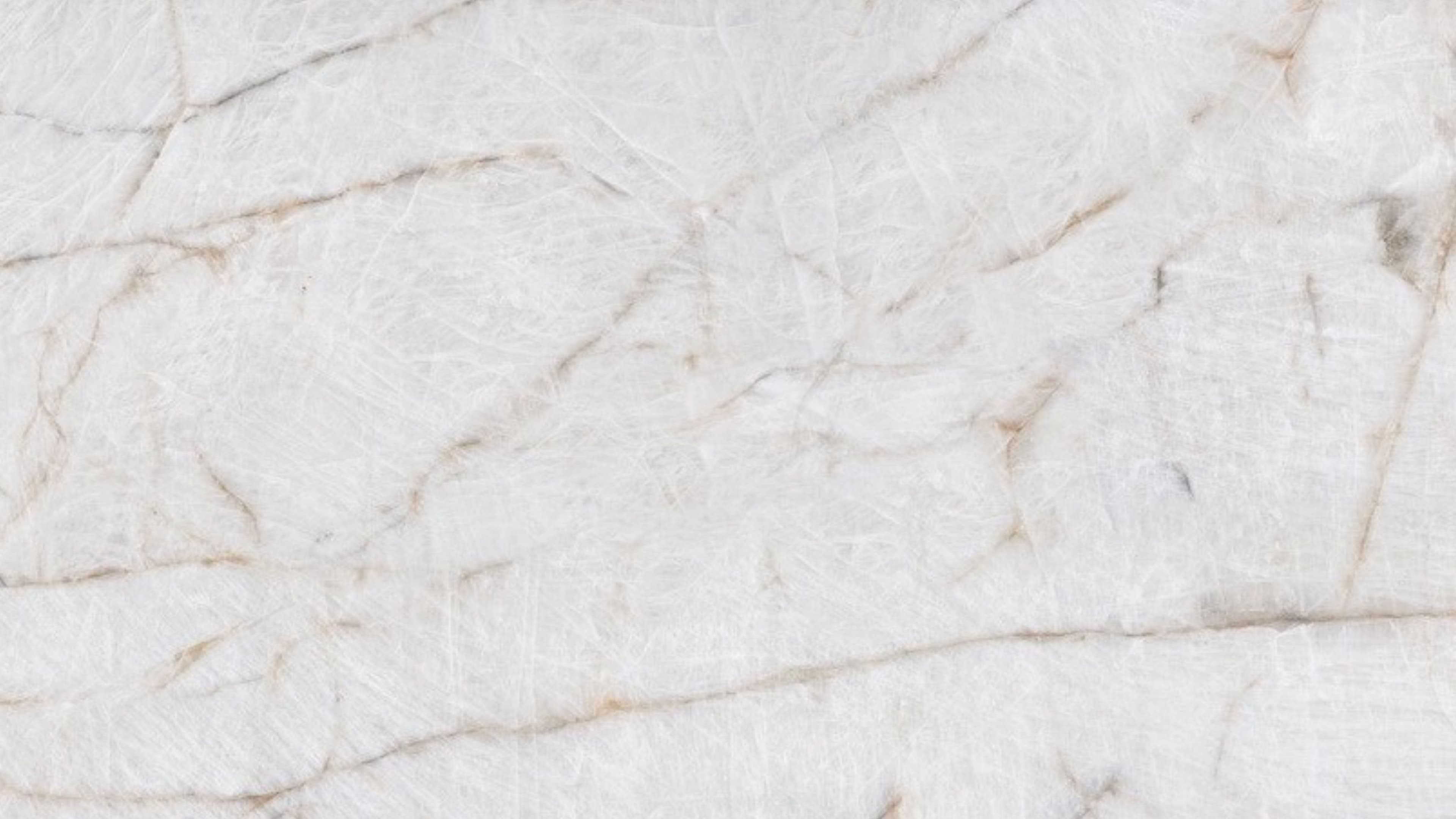 Arlina (P05) — Pacific Surfaces Vision