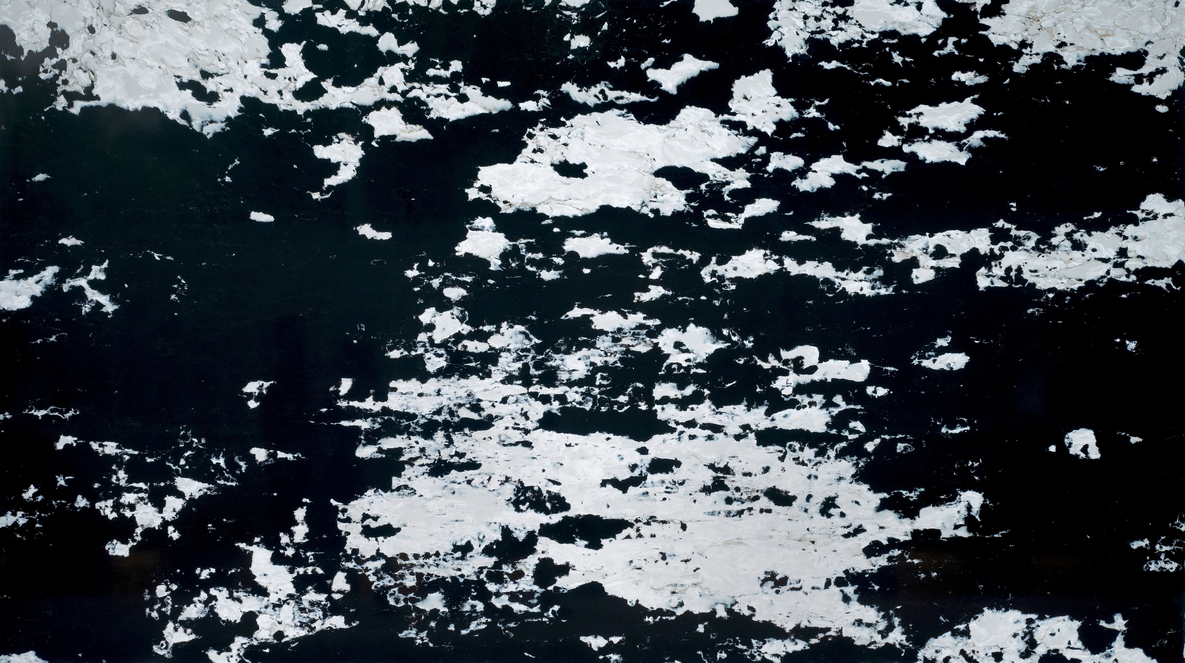 Mockingbird (5050) — Pacific Surfaces Kosmic