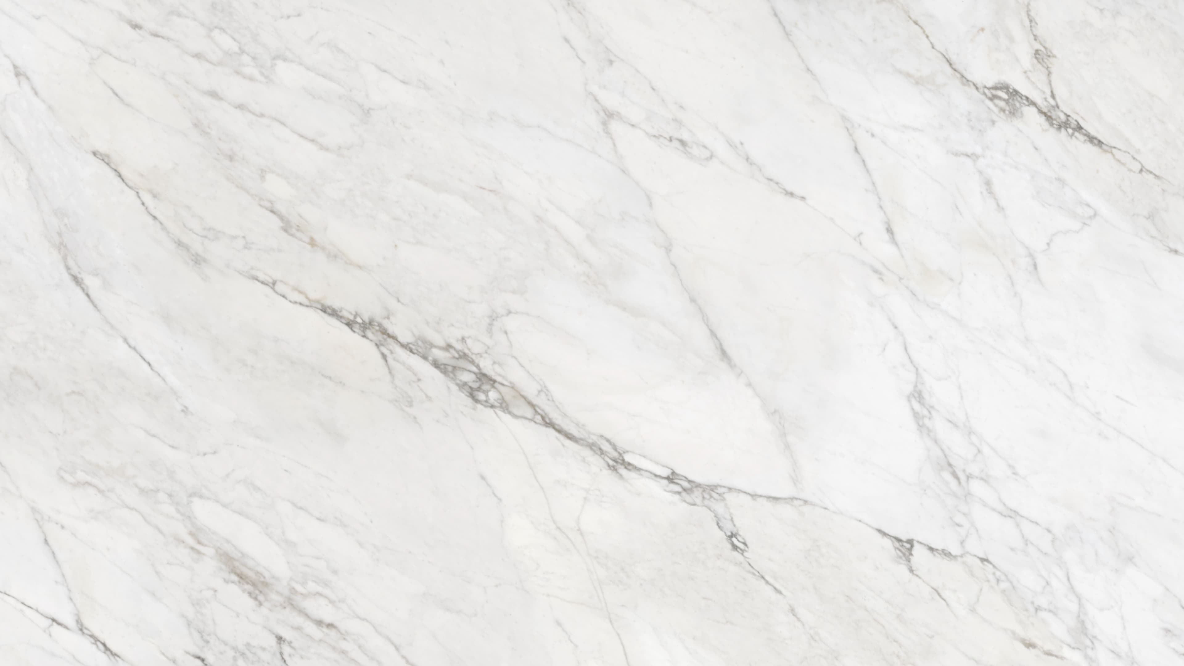 Silverscape (P20) — Pacific Surfaces Vision