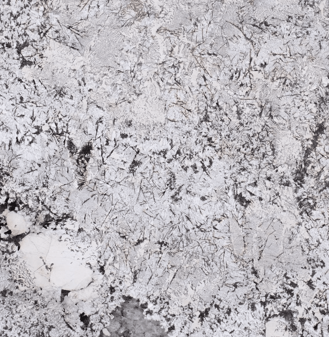 Crema Delicatus — Pacific Surfaces Granite