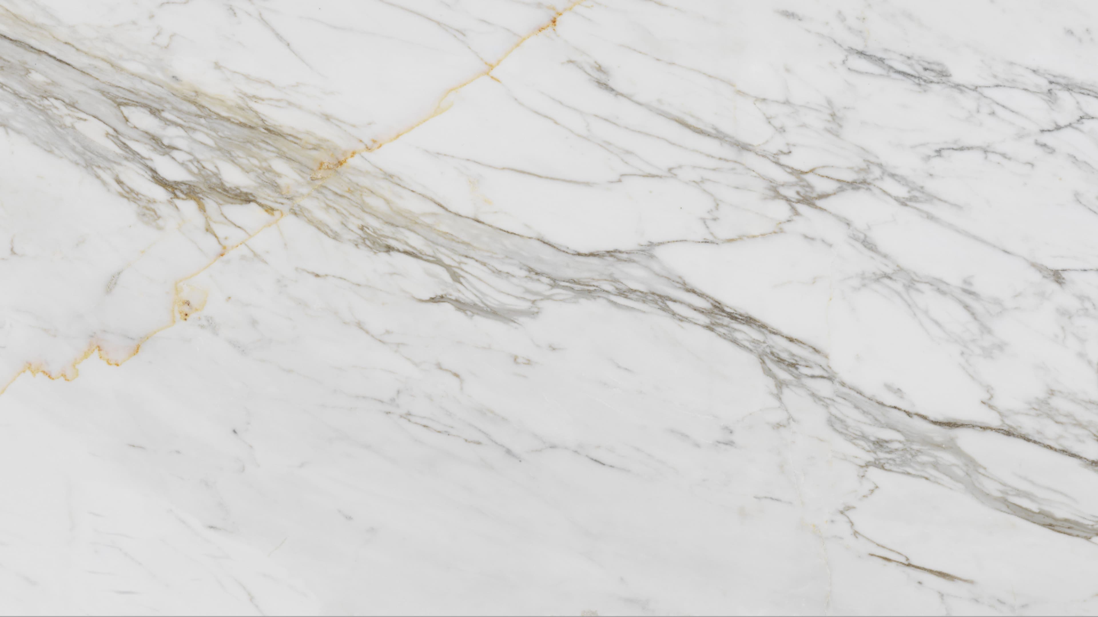 Stone Lily (P13) — Pacific Surfaces Vision