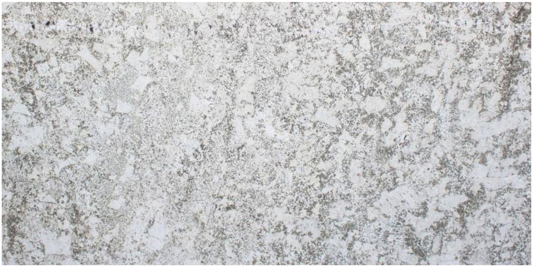 Avian White — Pacific Surfaces Granite