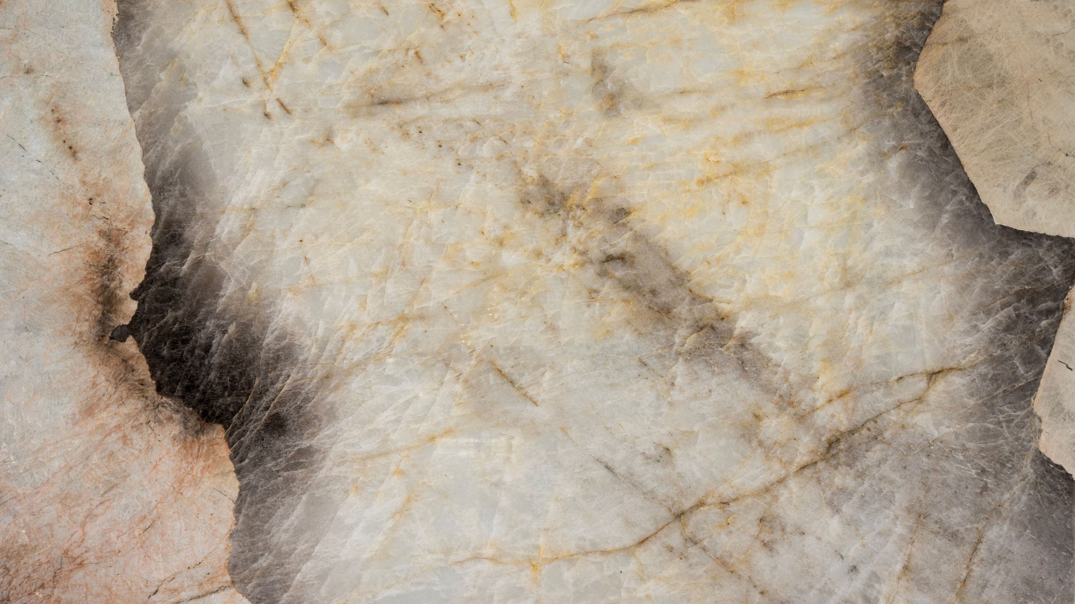 Patagonia — Pacific Surfaces Exotic Collection