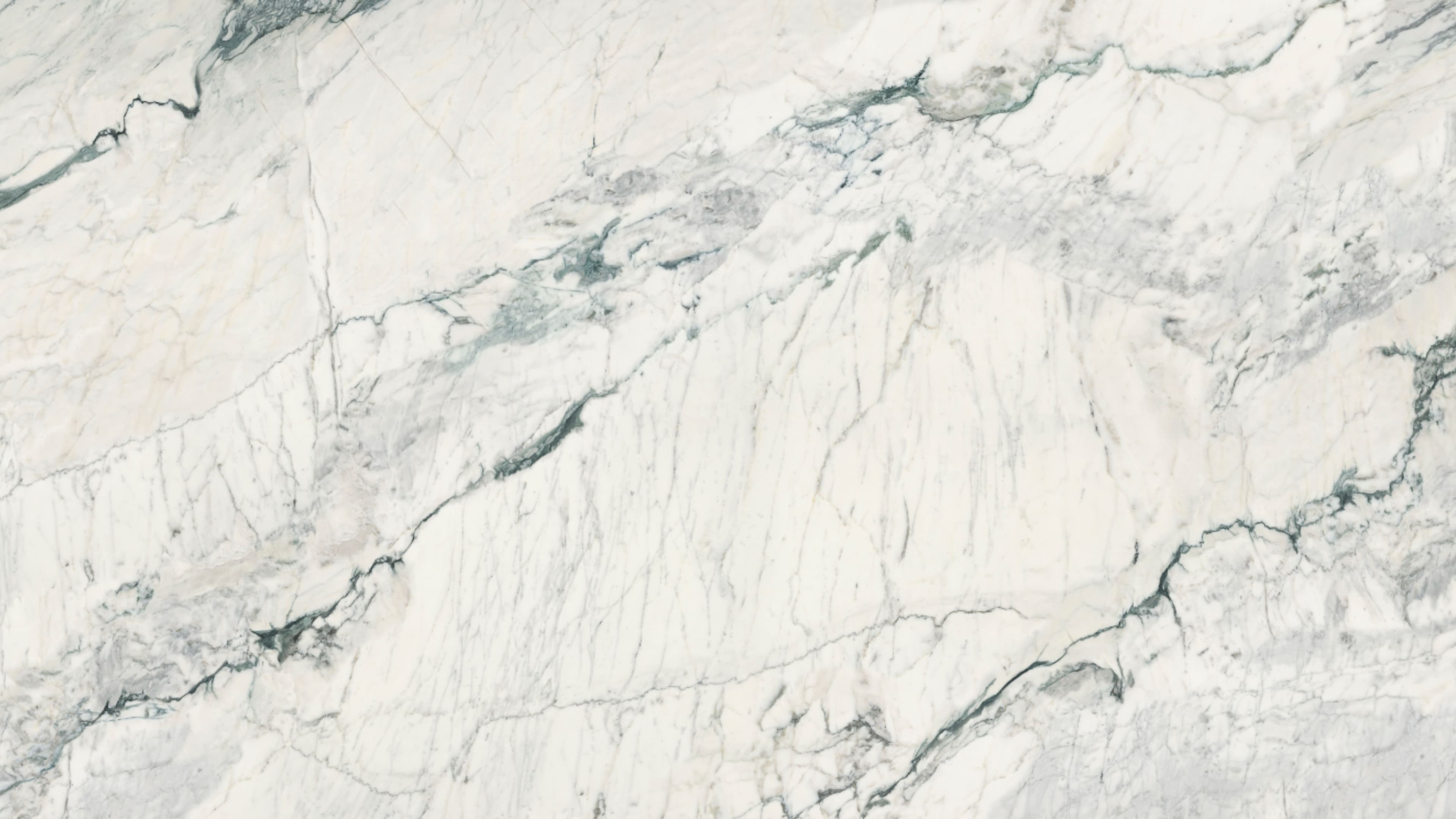 Mossveil (P26) — Pacific Surfaces Vision