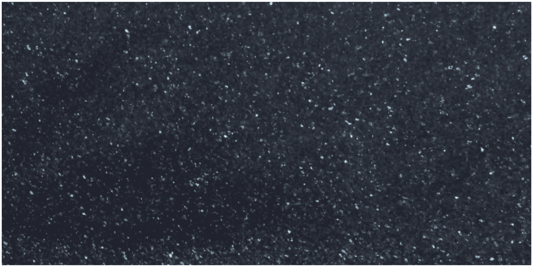 Emerald Pearl — Pacific Surfaces Granite