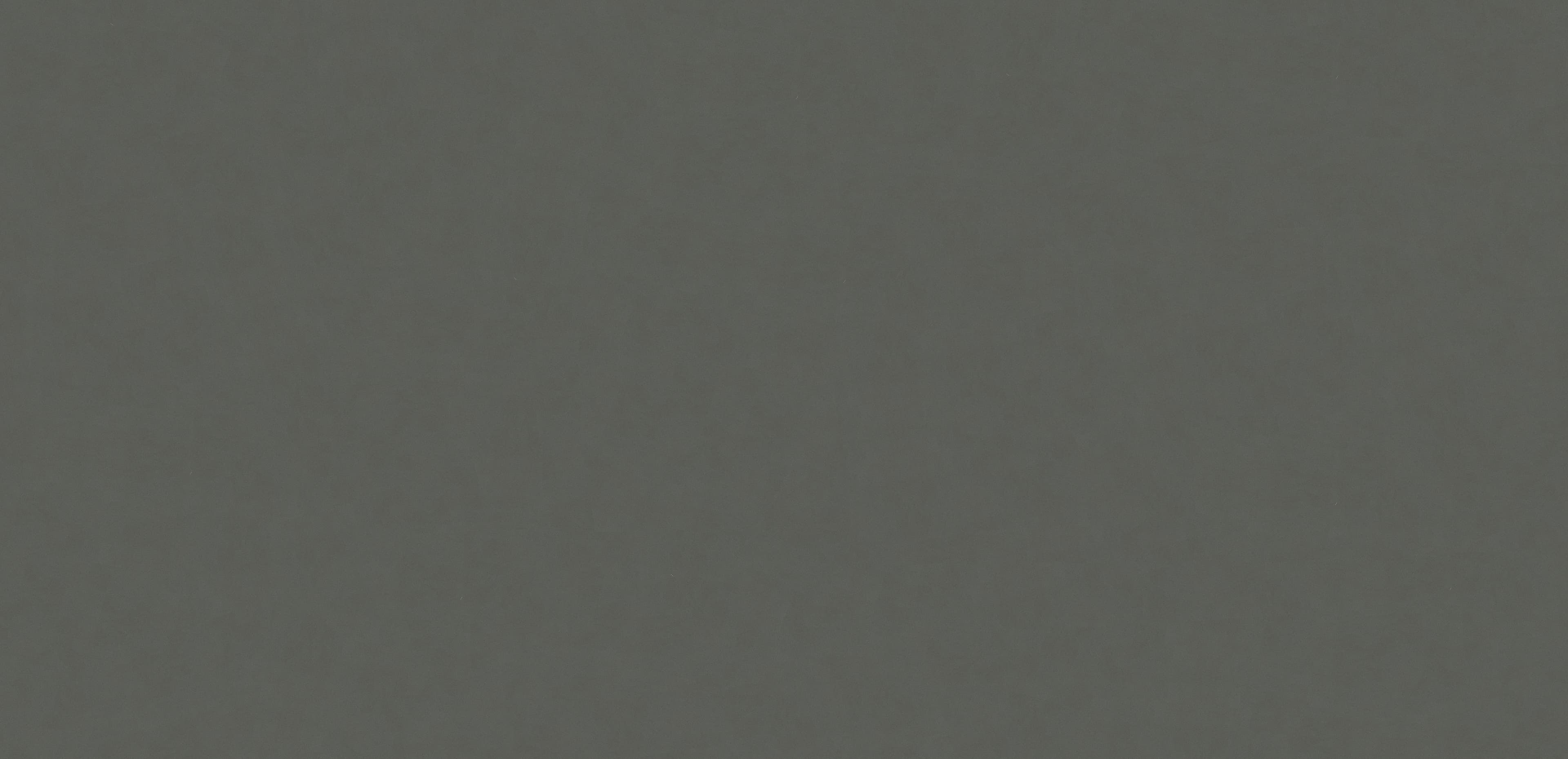 Cemento (1004) — Pacific Surfaces Aurora