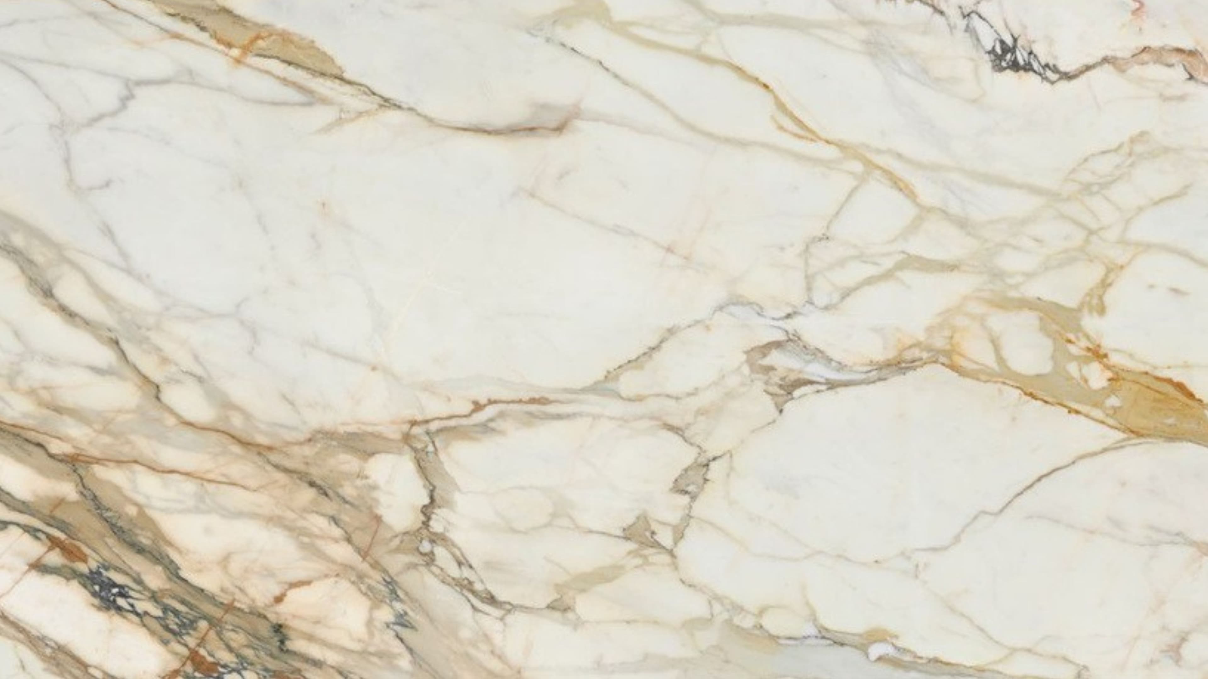 Rovena (P06) — Pacific Surfaces Vision